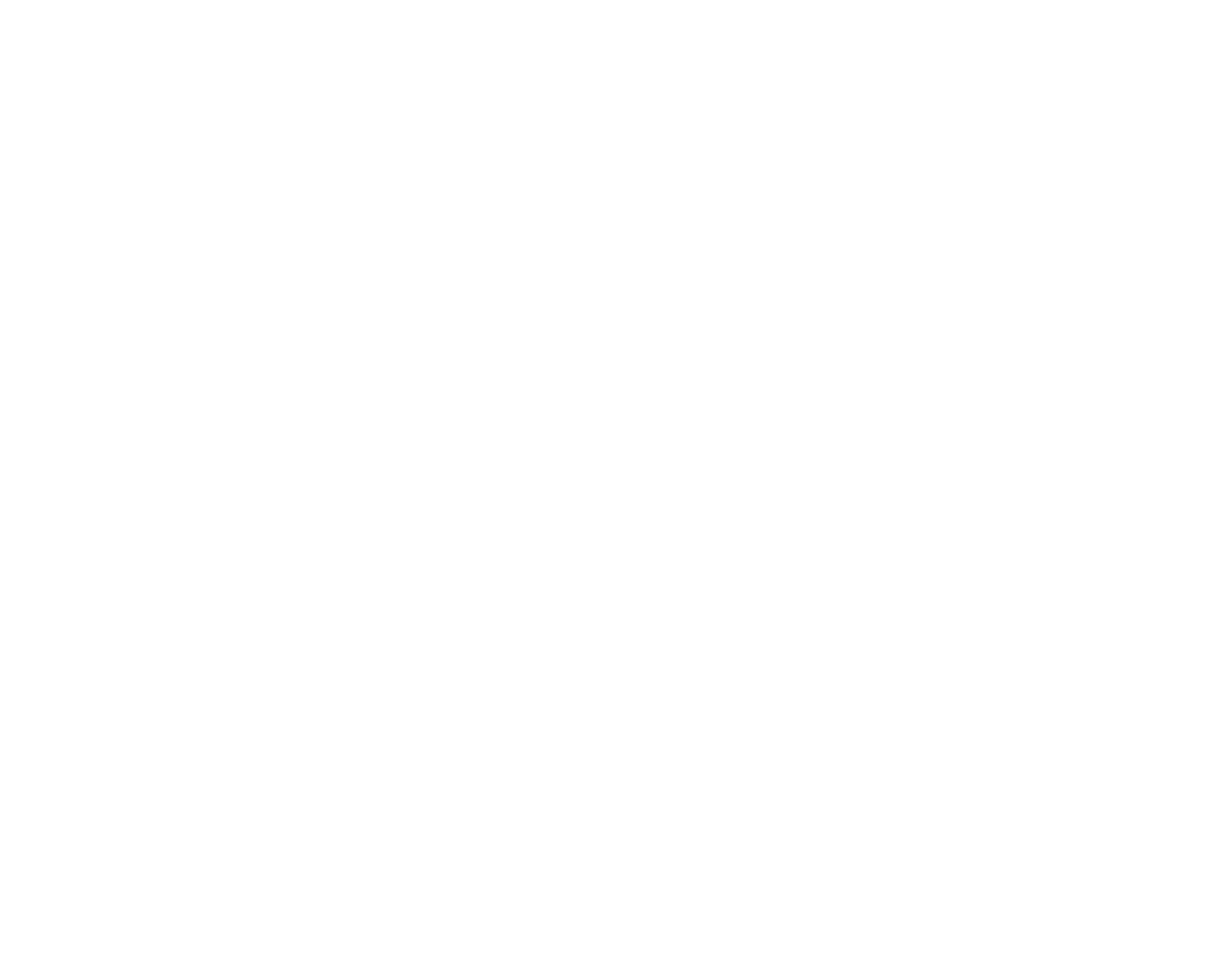 AMERICA SALON